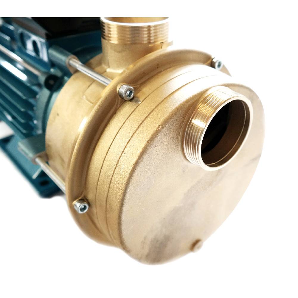 Pumpe Ölbeständig 240l/min ohne Anbauteile