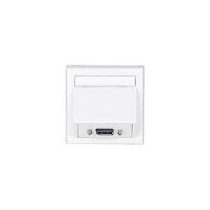 VivoLink WI221196 Steckdose DisplayPort Weiß (221196)