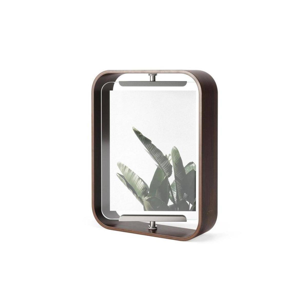 Wandmontiertes Terrarium mit einem dunklen Rahmen und Glasdeckel, in dem teilweise eine grüne Pflanze zu sehen ist.