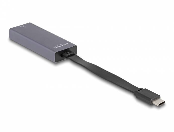 Graue externe SSD mit kurzem angeschlossenem USB-C-Kabel und Stecker, auf weißem Hintergrund abgebildet.