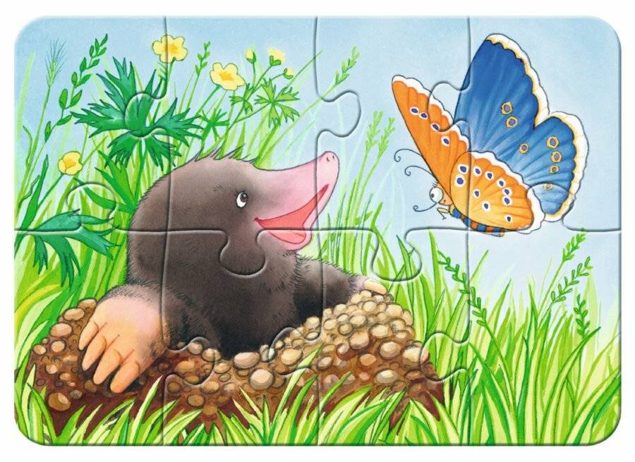 RAVENSBURGER Mein erstes Puzzle Haustiere im Garten 4in1 (2,4,6,8 Teile)