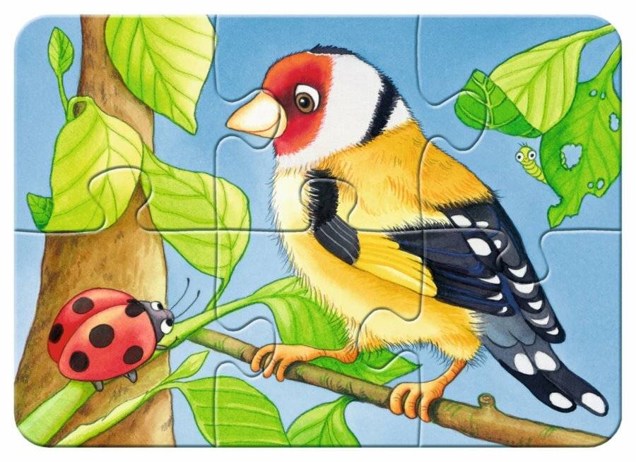 RAVENSBURGER Mein erstes Puzzle Haustiere im Garten 4in1 (2,4,6,8 Teile)