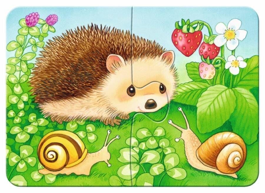 RAVENSBURGER Mein erstes Puzzle Haustiere im Garten 4in1 (2,4,6,8 Teile)
