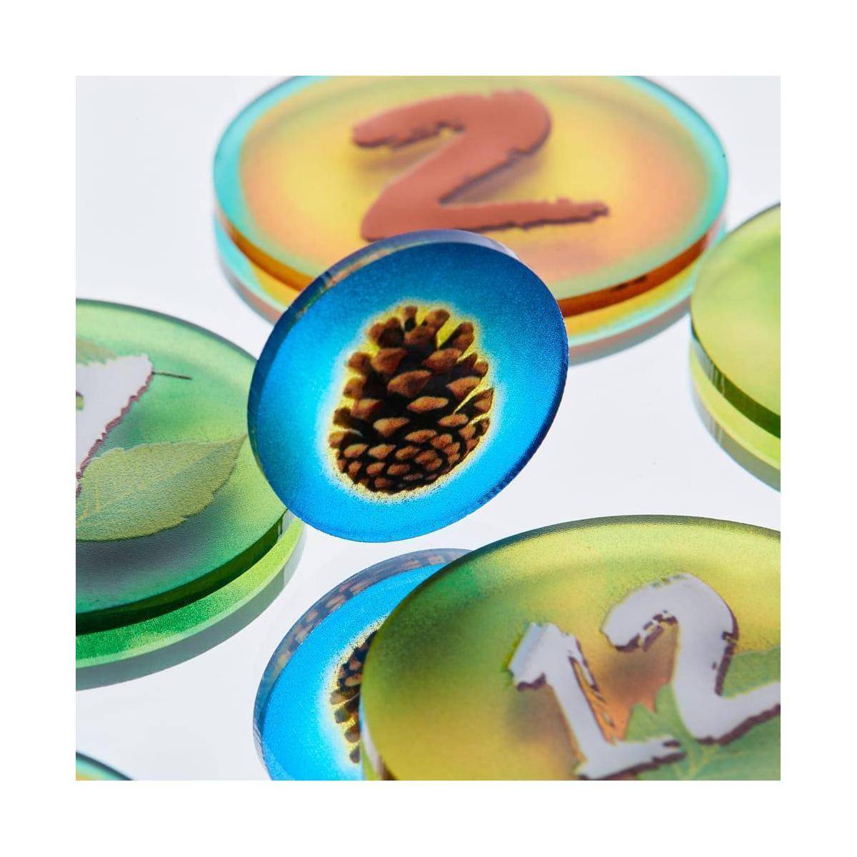 Token und Marker: Photosynthese -Token -Set (GB)