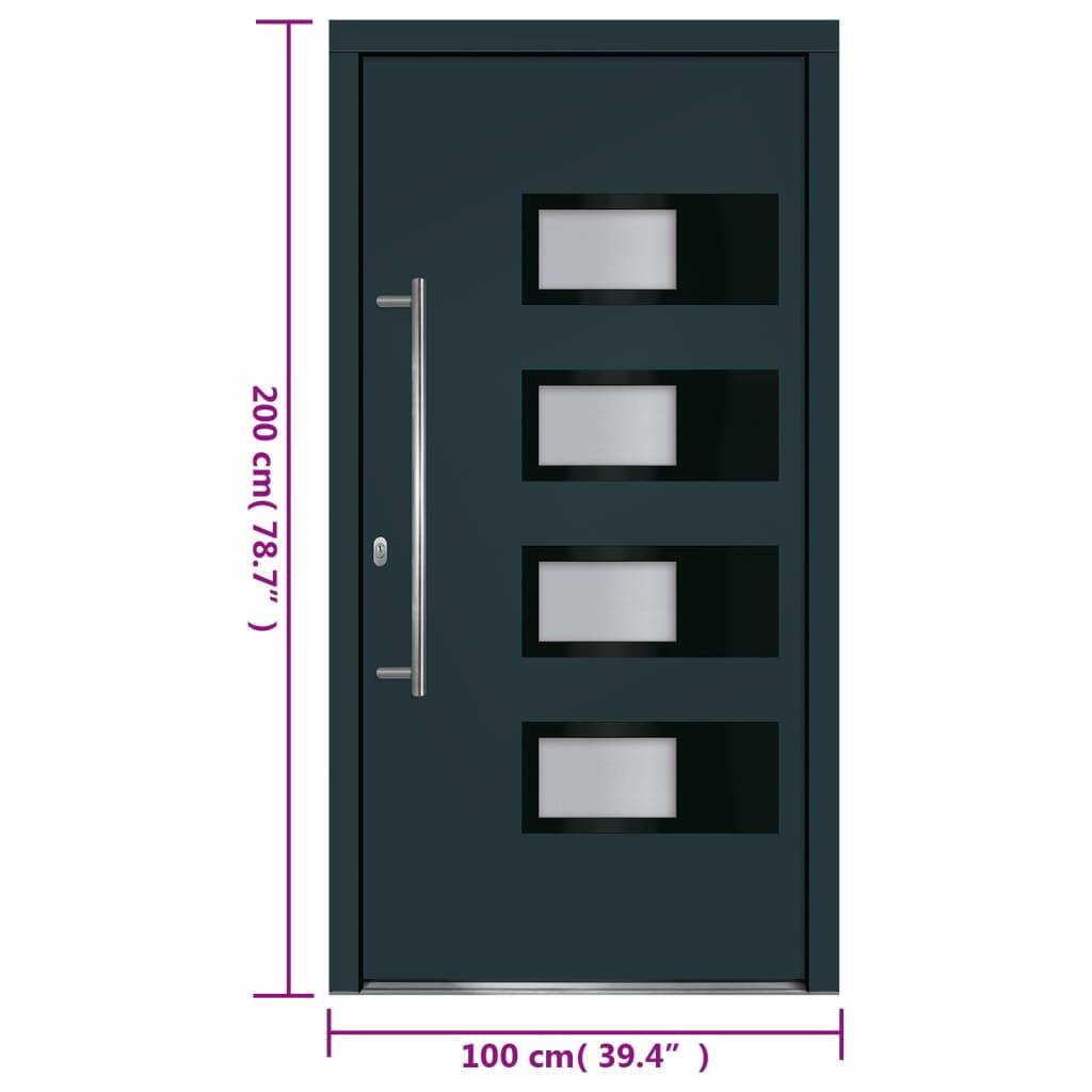 vidaXL Haustür Anthrazit 100x200 cm Aluminium und PVC