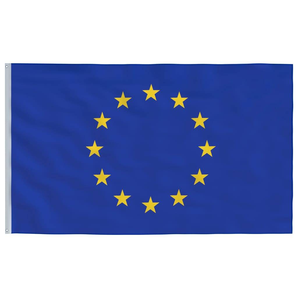 vidaXL Europaflagge mit Mast 6,23 m Aluminium