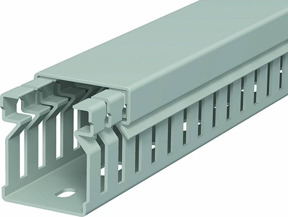 BETTERMANN BETTERMANN Verdrahtungskanal stgr m.OT LK4 30025 30x25x2000mm Bodenl