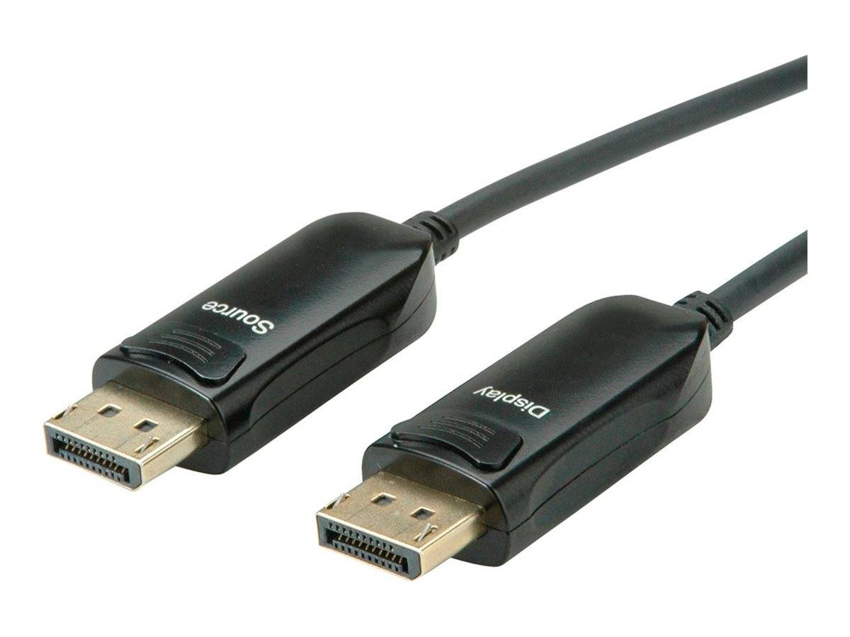 Zwei DisplayPort-Kabelstecker auf weißem Hintergrund gezeigt, einer mit der Bezeichnung „Quelle