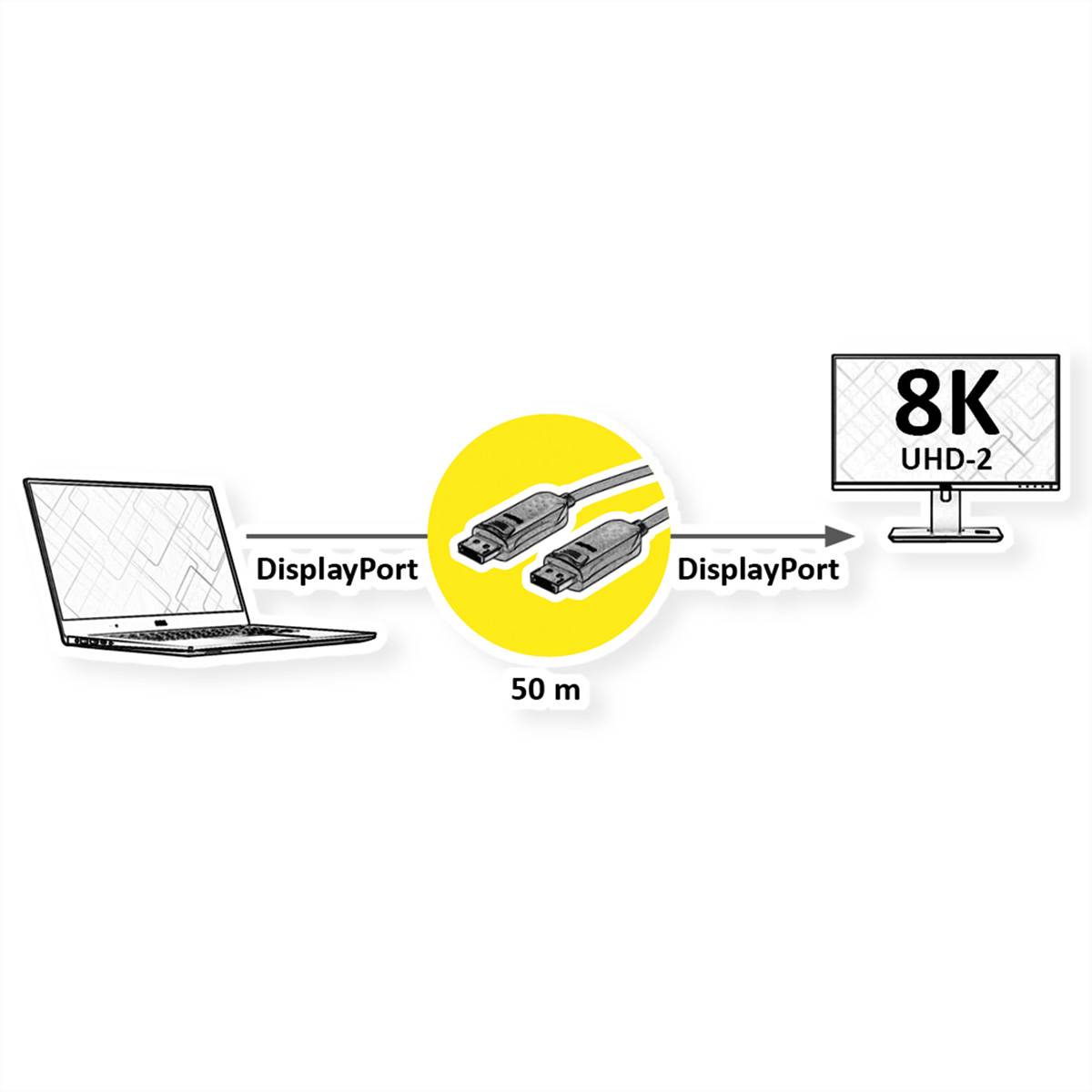VALUE - DisplayPort-Kabel - DisplayPort (M)