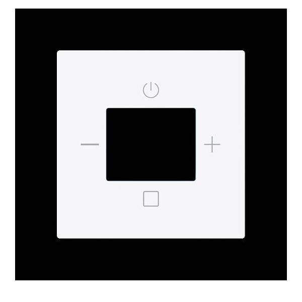 Busch-Jaeger Zentralscheibe Radio 8252-44G-101