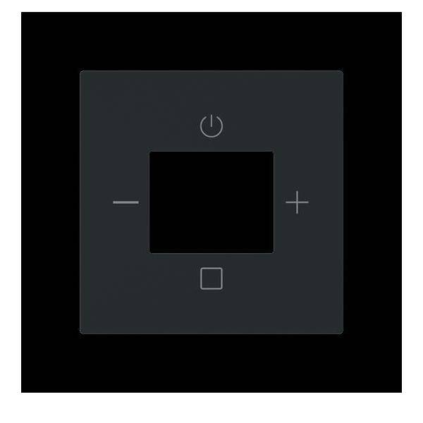 Busch-Jaeger Zentralscheibe Radio 8252-45M-101