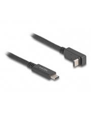 DELOCK USB 10 Gbps Kabel USB Type-C St. zu USB Type-C St.