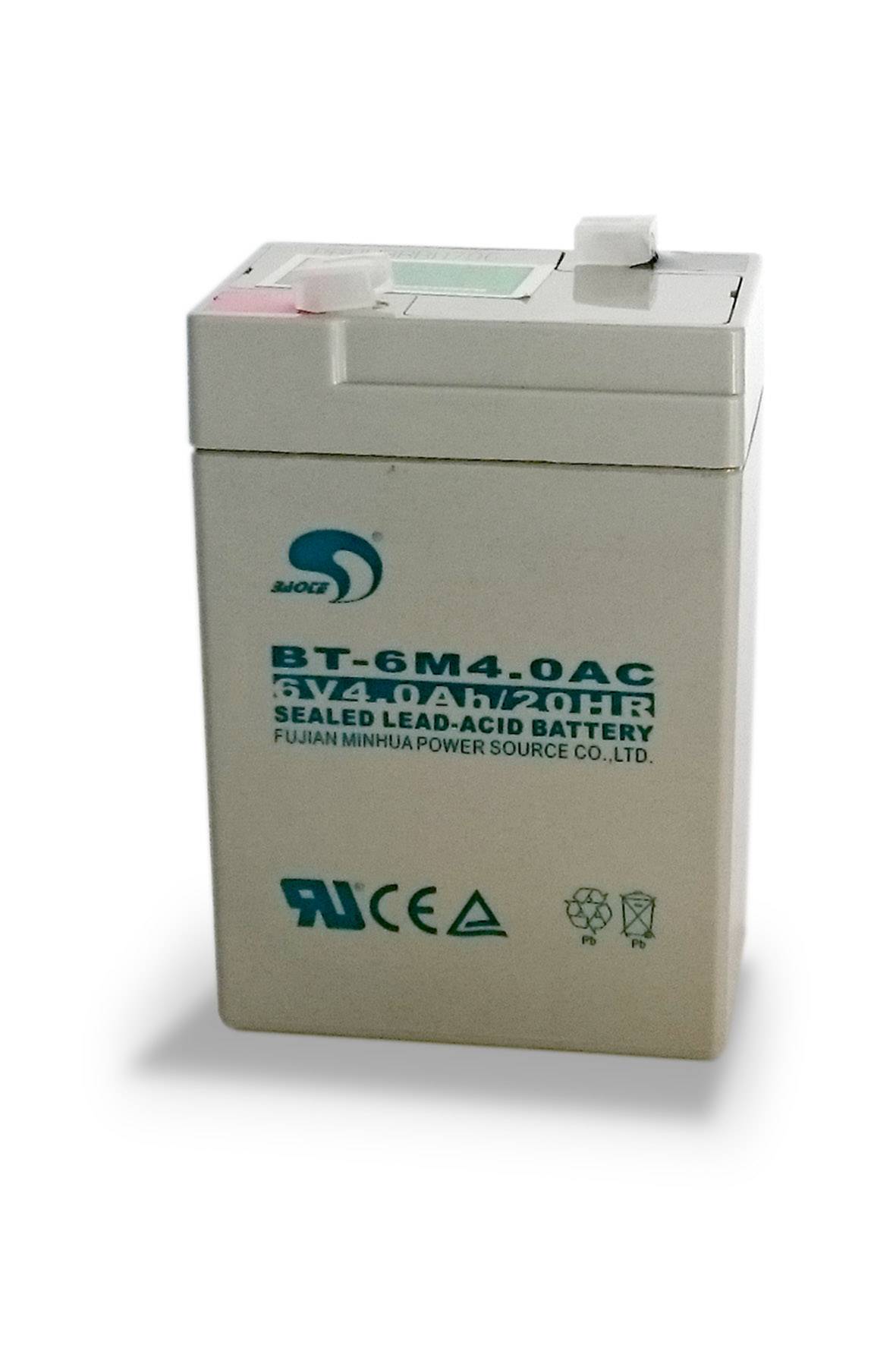 Blei-Vlies Akku (AGM), 2er-Pack, für Waagen, z.B. Modelle CAS ERJ, ERP, EDH, EDM und HPR, 6 Volt, 4,0 Ah, BT-6M4.0AC