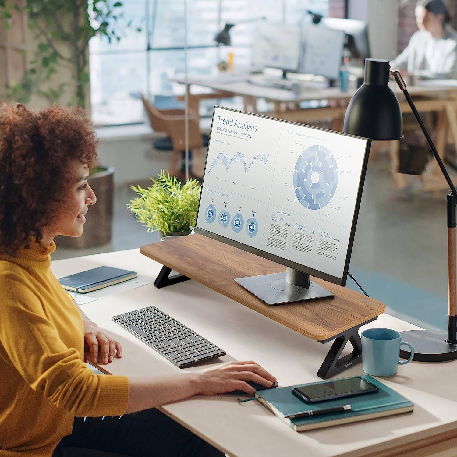 Duronic DM06-2 AW Monitorständer groß stabil Schreibtisch Laptop Halterung