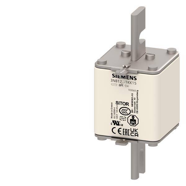Siemens Dig.Industr. SITOR-Sicherungseinsatz 3NB1236-1KK15