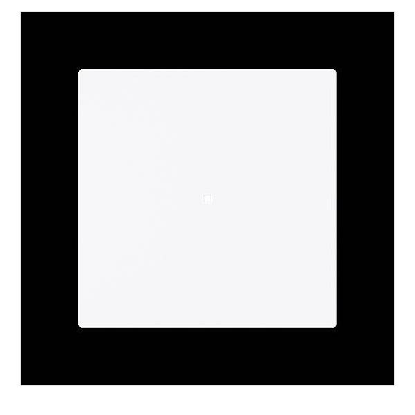 Busch-Jaeger Wippe, 1-fach neutral ohne 6230-10-44G