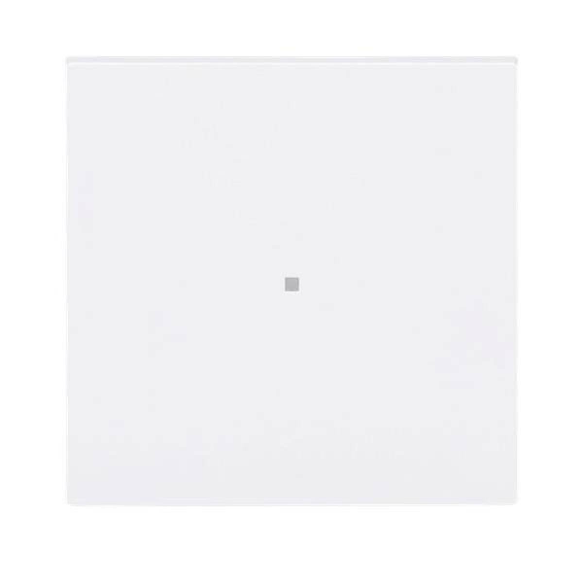Busch-Jaeger Wippe, 1-fach neutral ohne 6230-10-44G