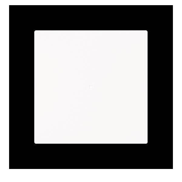 Busch-Jaeger Wippe, 1-fach neutral ohne 6230-10-44M