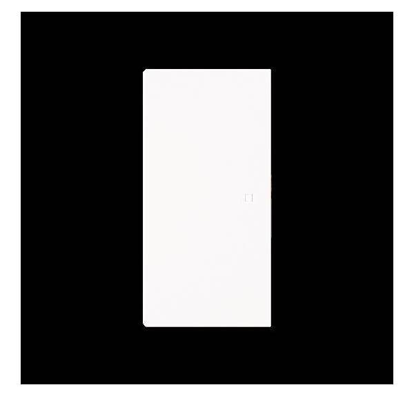 Busch-Jaeger Wippe, 2-fach neutral ohne 6230-20-44M