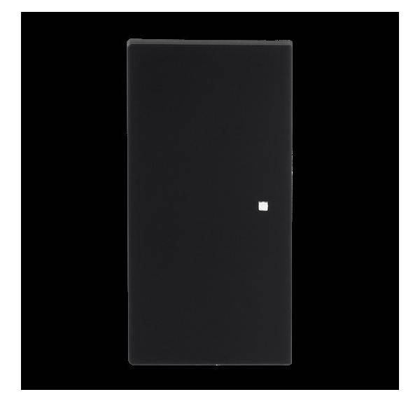 Busch-Jaeger Wippe, 2-fach neutral ohne 6230-20-45M