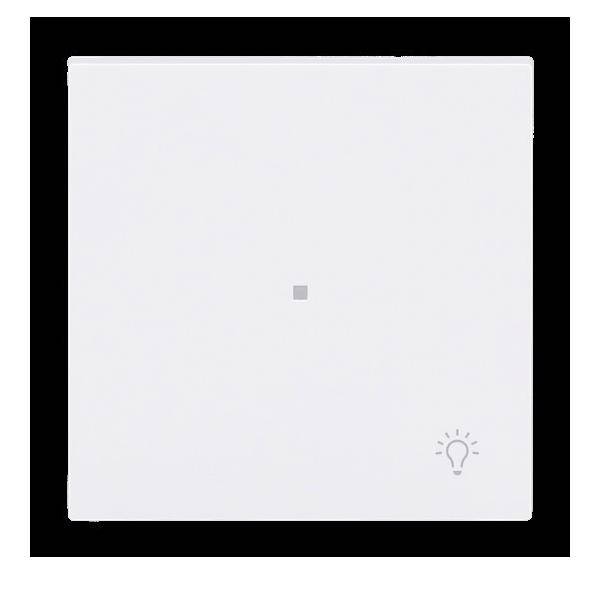 Busch-Jaeger Wippe 1-fach mit Symbol 6231-10-44G