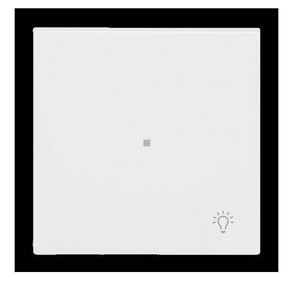 Busch-Jaeger Wippe 1-fach mit Symbol 6231-10-44M