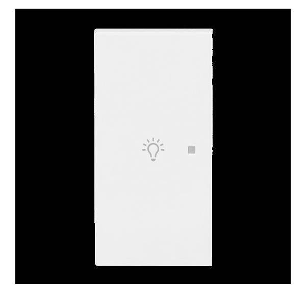 Busch-Jaeger Wippe 2-fach links m. Sym. 6231-21-44G