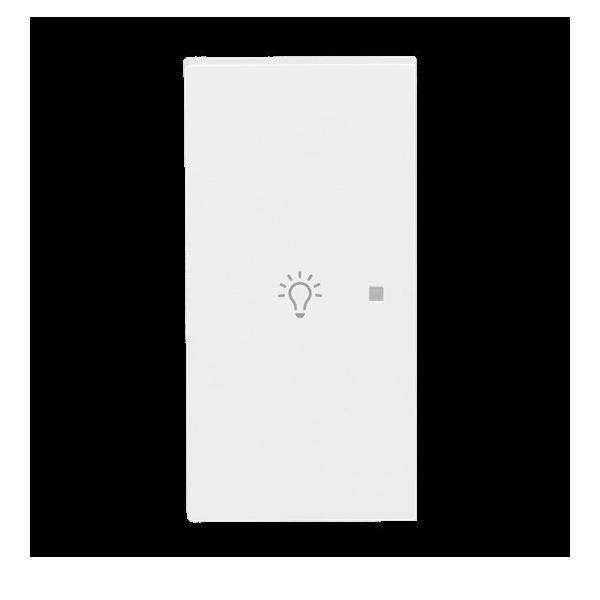 Busch-Jaeger Wippe 2-fach links m. Sym. 6231-21-44M