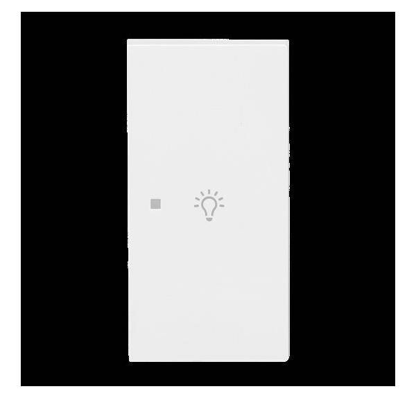 Busch-Jaeger Wippe 2-fach rechts m.Sym. 6231-22-44G