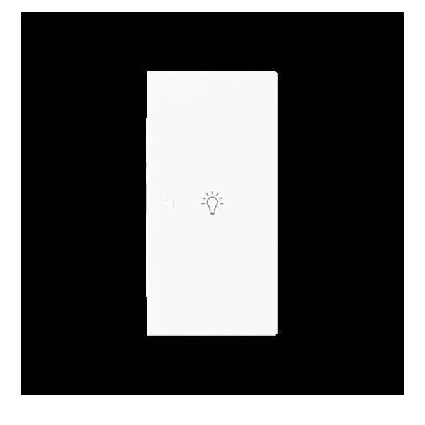 Busch-Jaeger Wippe 2-fach rechts m.Sym. 6231-22-44M