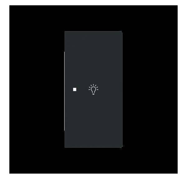 Busch-Jaeger Wippe 2-fach rechts m.Sym. 6231-22-45M