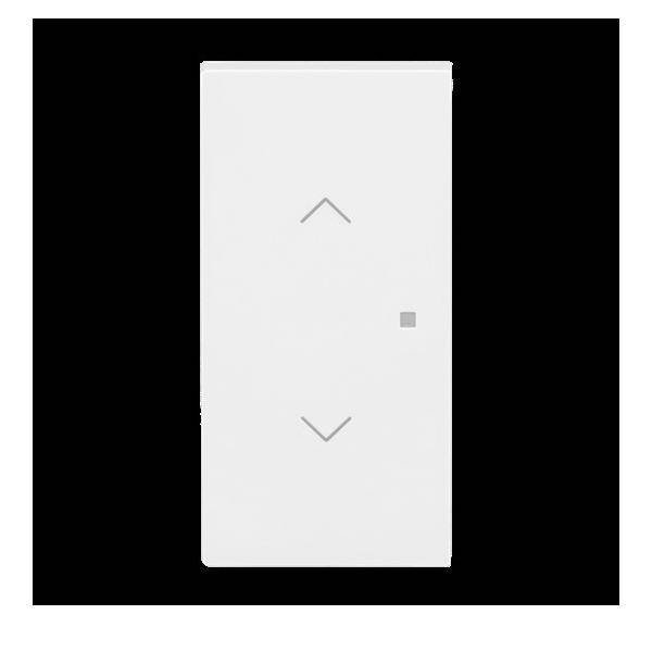 Busch-Jaeger Wippe 2-fach mit Symbol 6232-20-44G