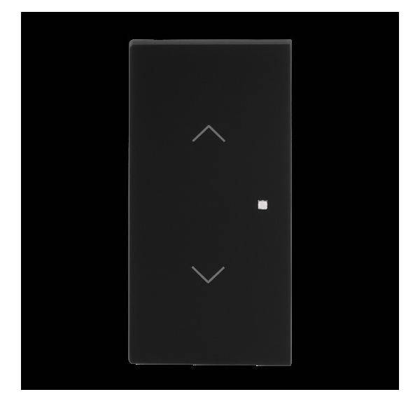 Busch-Jaeger Wippe 2-fach mit Symbol 6232-20-45M