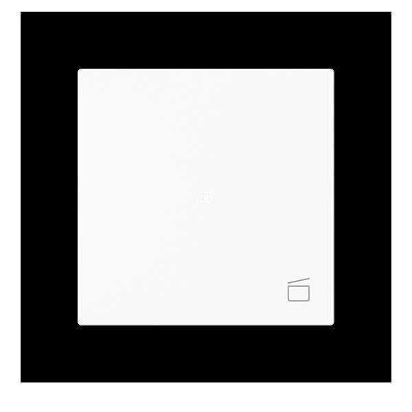 Busch-Jaeger Wippe 1-fach mit Symbol 6233-10-44M