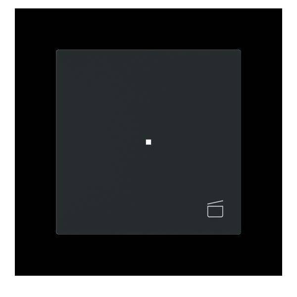 Busch-Jaeger Wippe 1-fach mit Symbol 6233-10-45M