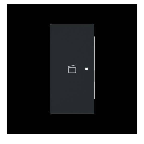 Busch-Jaeger Wippe 2-fach links m. Sym. 6233-21-45M