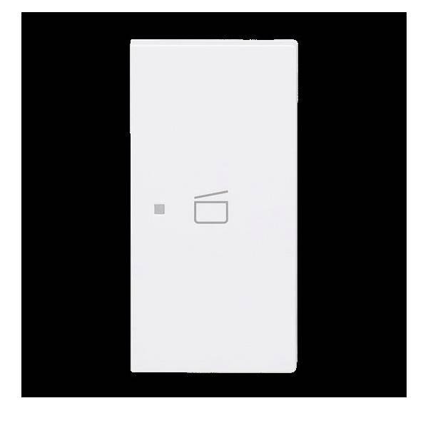 Busch-Jaeger Wippe 2-fach rechts m.Sym. 6233-22-44M