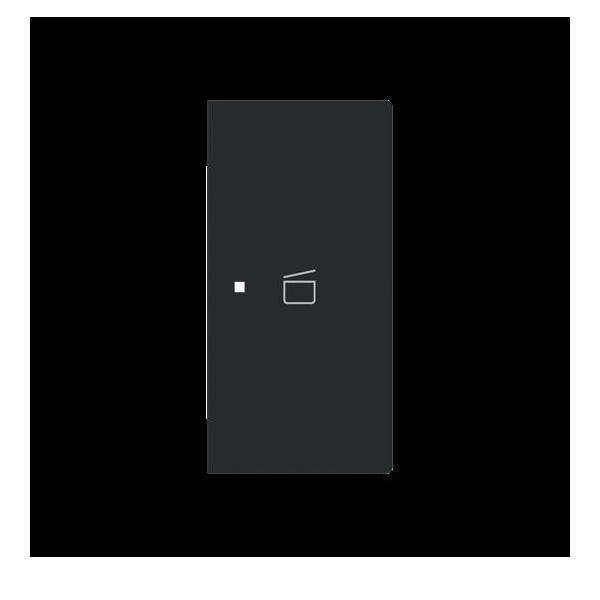 Busch-Jaeger Wippe 2-fach rechts m.Sym. 6233-22-45M