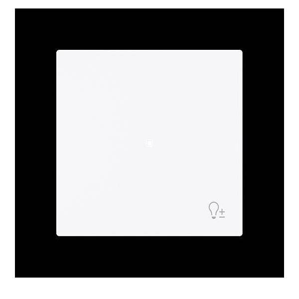 Busch-Jaeger Wippe 1-fach mit Symbol 6234-10-44G