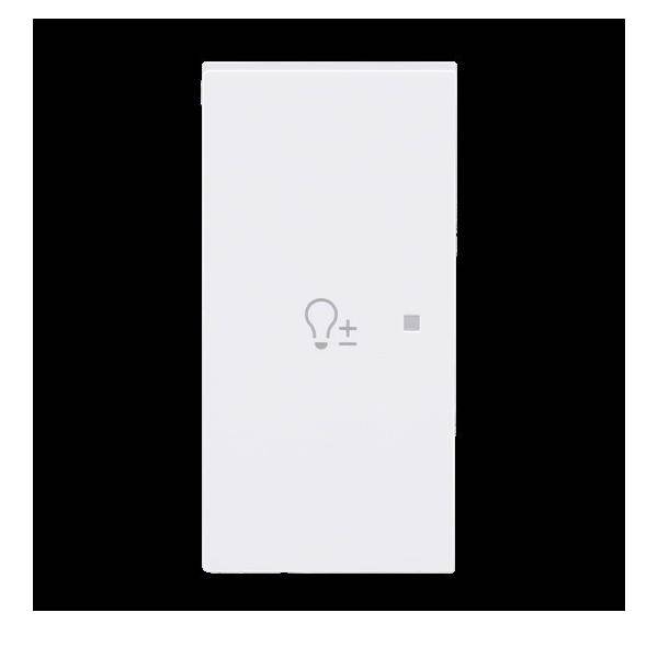 Busch-Jaeger Wippe 2-fach links m. Sym. 6234-21-44G