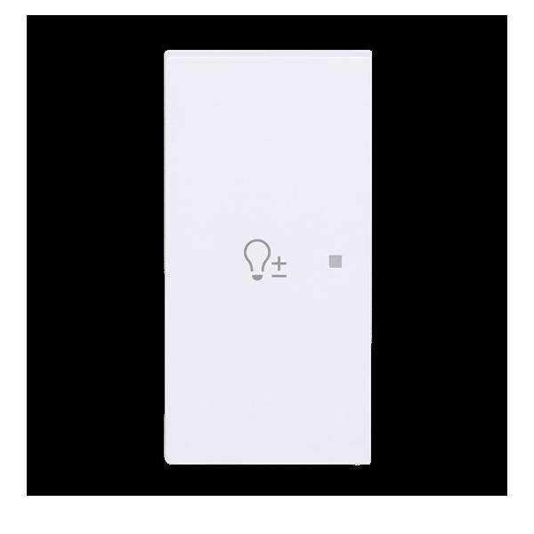 Busch-Jaeger Wippe 2-fach links m. Sym. 6234-21-44M