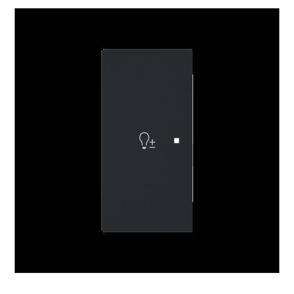 Busch-Jaeger Wippe 2-fach links m. Sym. 6234-21-45M