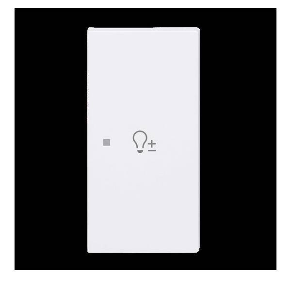 Busch-Jaeger Wippe 2-fach rechts m.Sym. 6234-22-44M