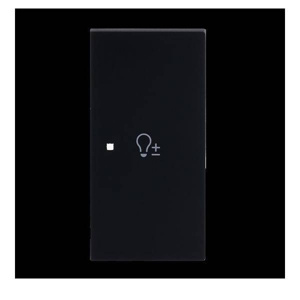 Busch-Jaeger Wippe 2-fach rechts m.Sym. 6234-22-45M