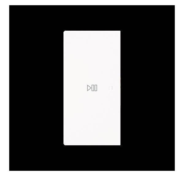 Busch-Jaeger Wippe 2-fach links Symbol 6237-21-44G