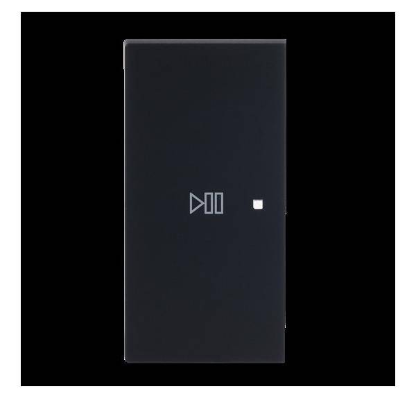 Busch-Jaeger Wippe 2-fach links Symbol 6237-21-45M