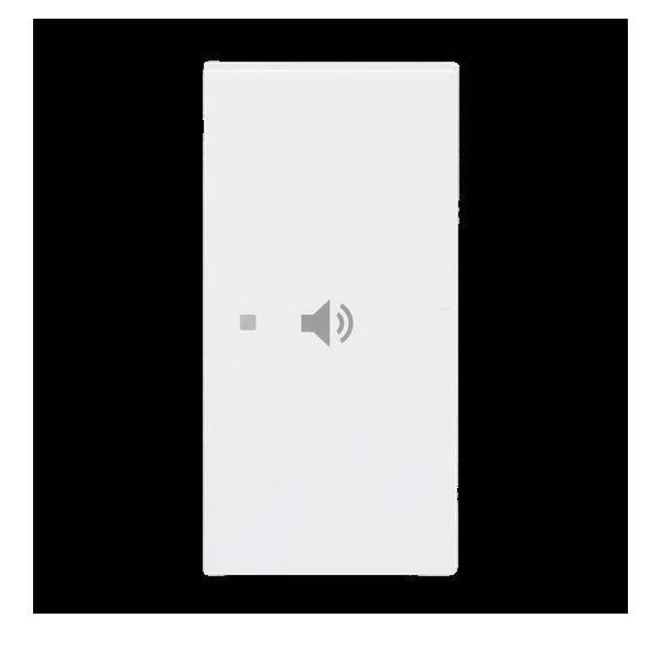 Busch-Jaeger Wippe 2-fach rechts Symbo. 6237-22-44M