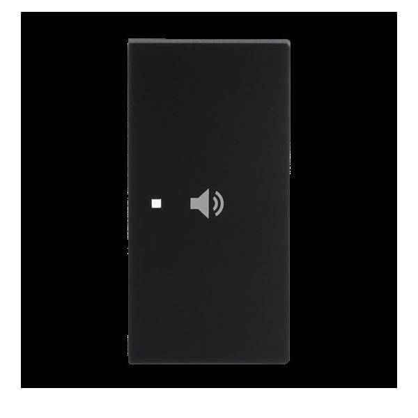 Busch-Jaeger Wippe 2-fach rechts Symbo. 6237-22-45M