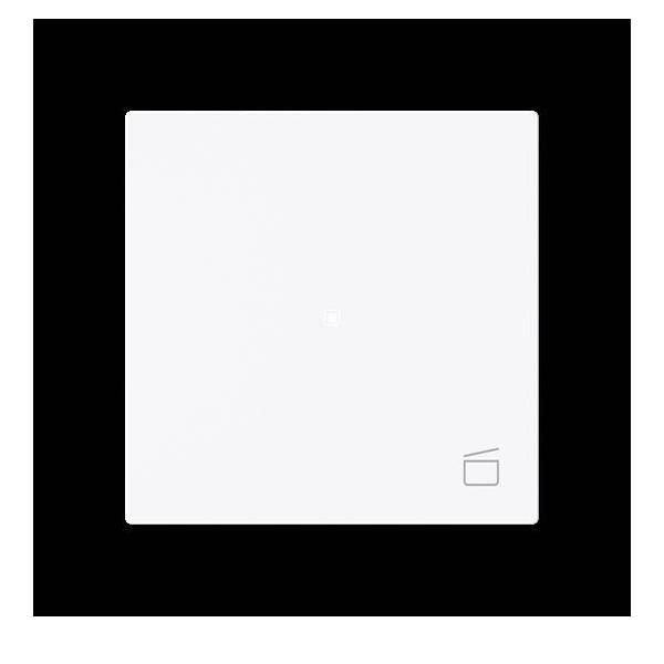 Busch-Jaeger Wippe 1-fach mit Symbol 6233-10-44G