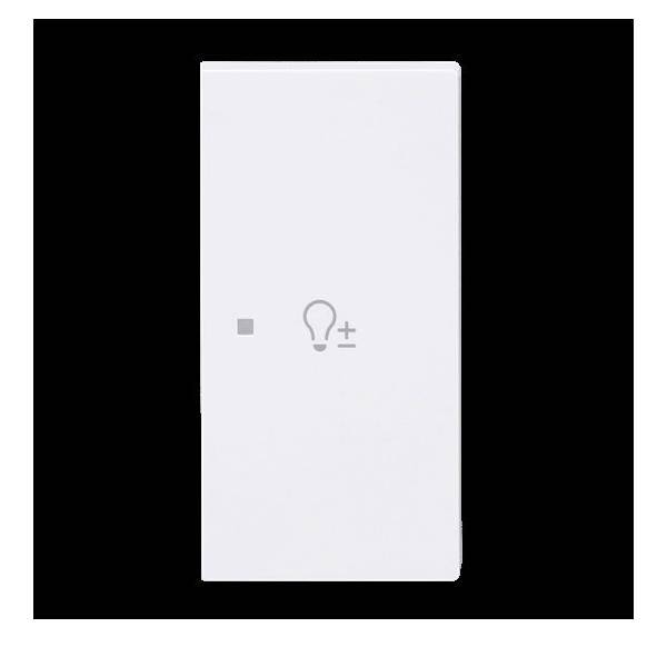 Busch-Jaeger Wippe 2-fach rechts m.Sym. 6234-22-44G